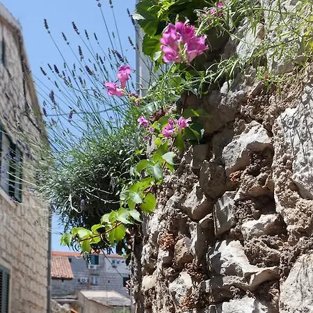 Maison d'hôtes Old Town & Ela Place 3*